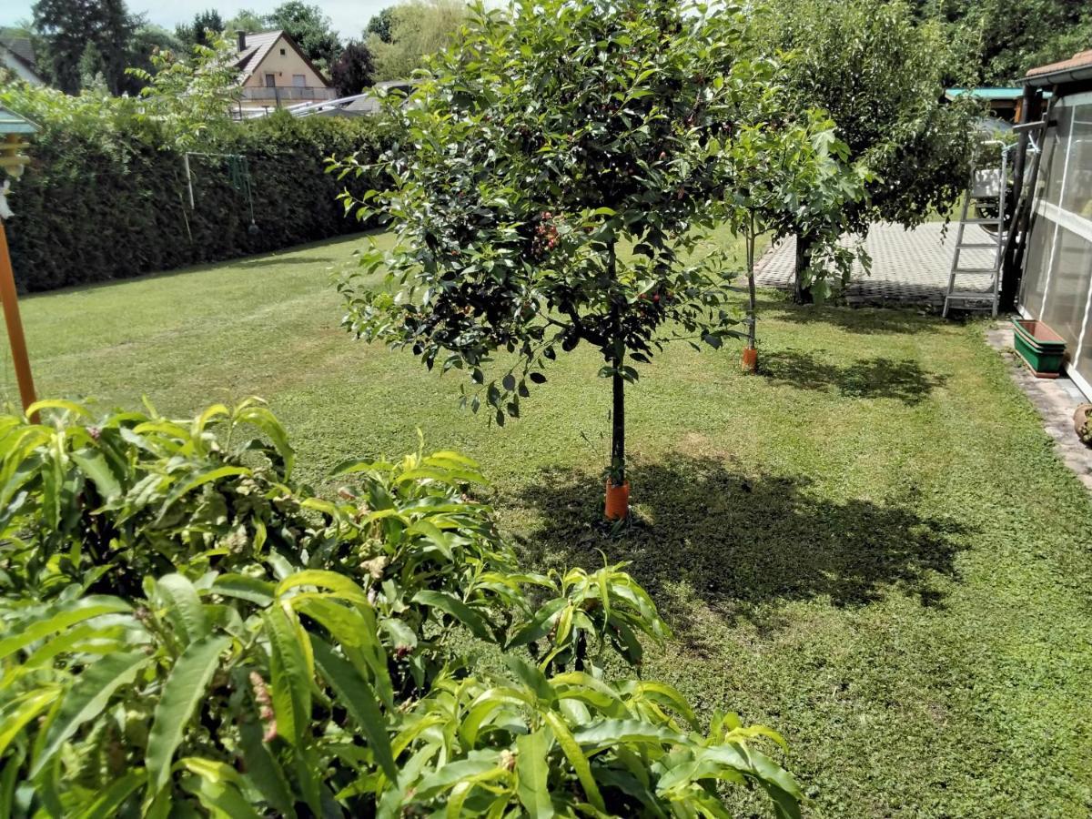 Fewo Jehle Sued Nord Rust Extérieur photo